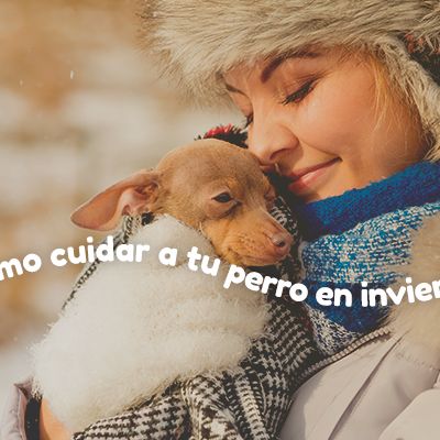 PORTADA-COMO-PROTEGER-A-TU-MASCOTA-ESTE-INVIERNO